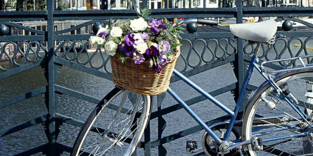 The endless museums of Amsterdam