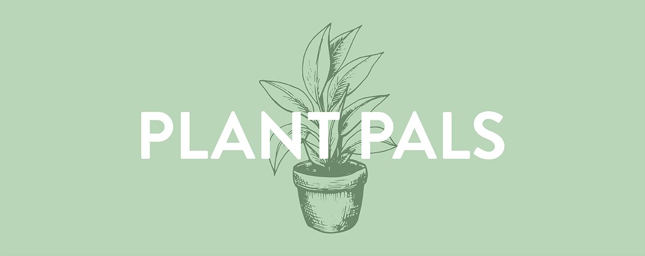 plant pals