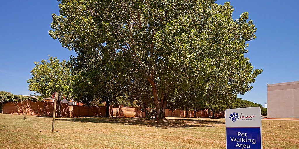 Extended Stay Hotels In Arlington Tx Candlewood Suites Arlington