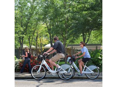 Family riding bikes through park