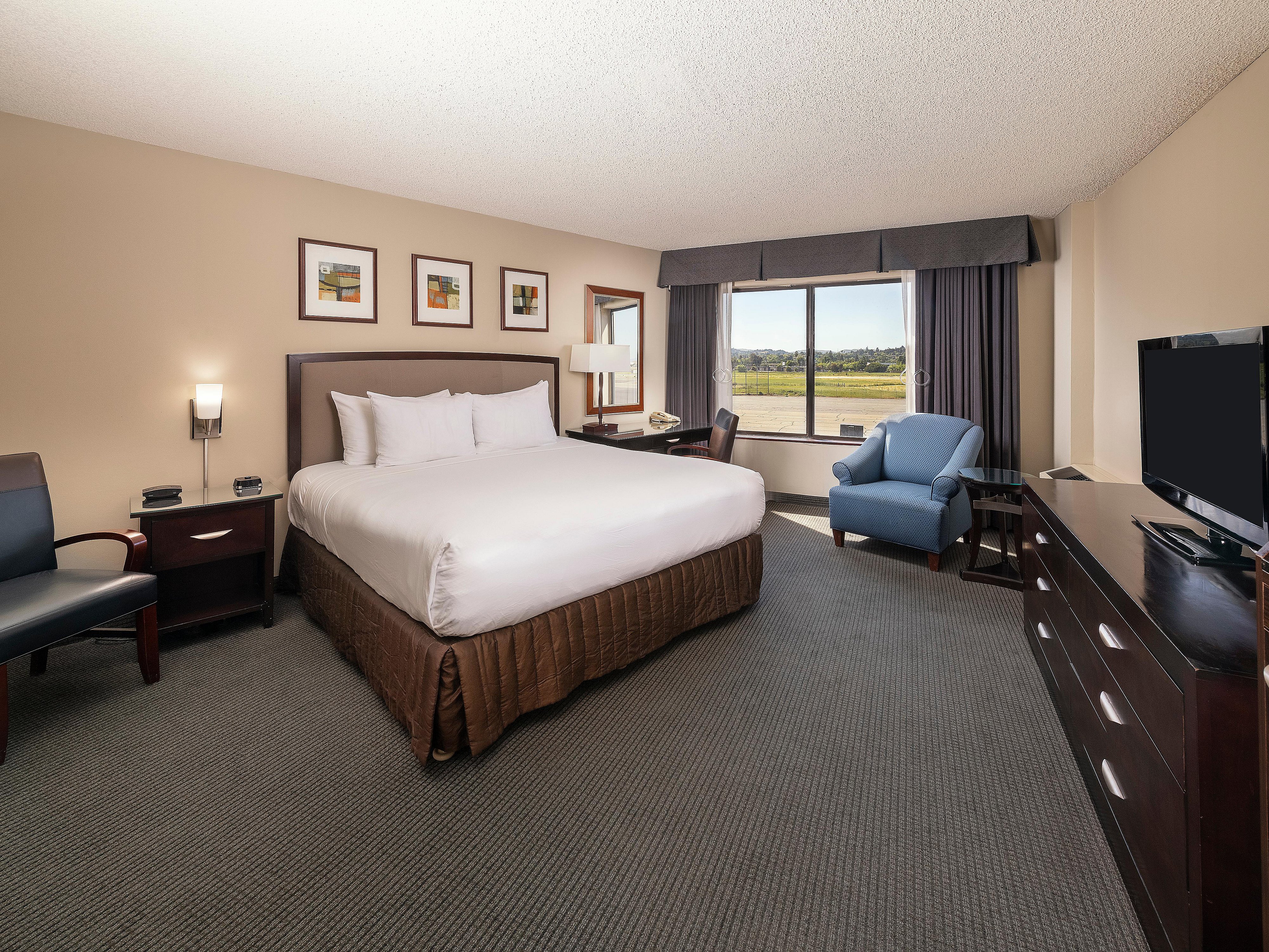 Hotels In Concord Ca Near Muir Woods Crowne Plaza Concord