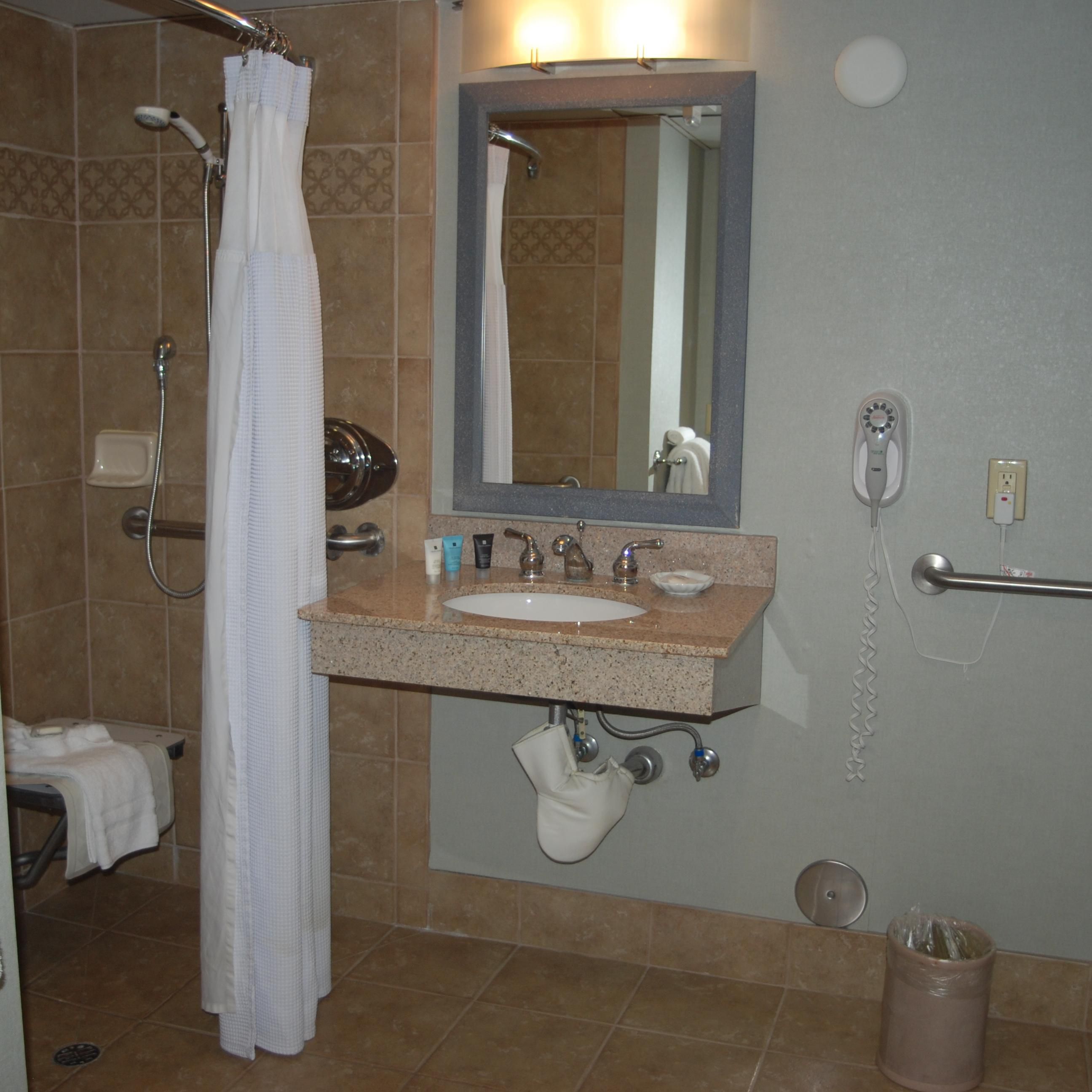 Bathroom in Double Bed Guest Room Handicap Accessible