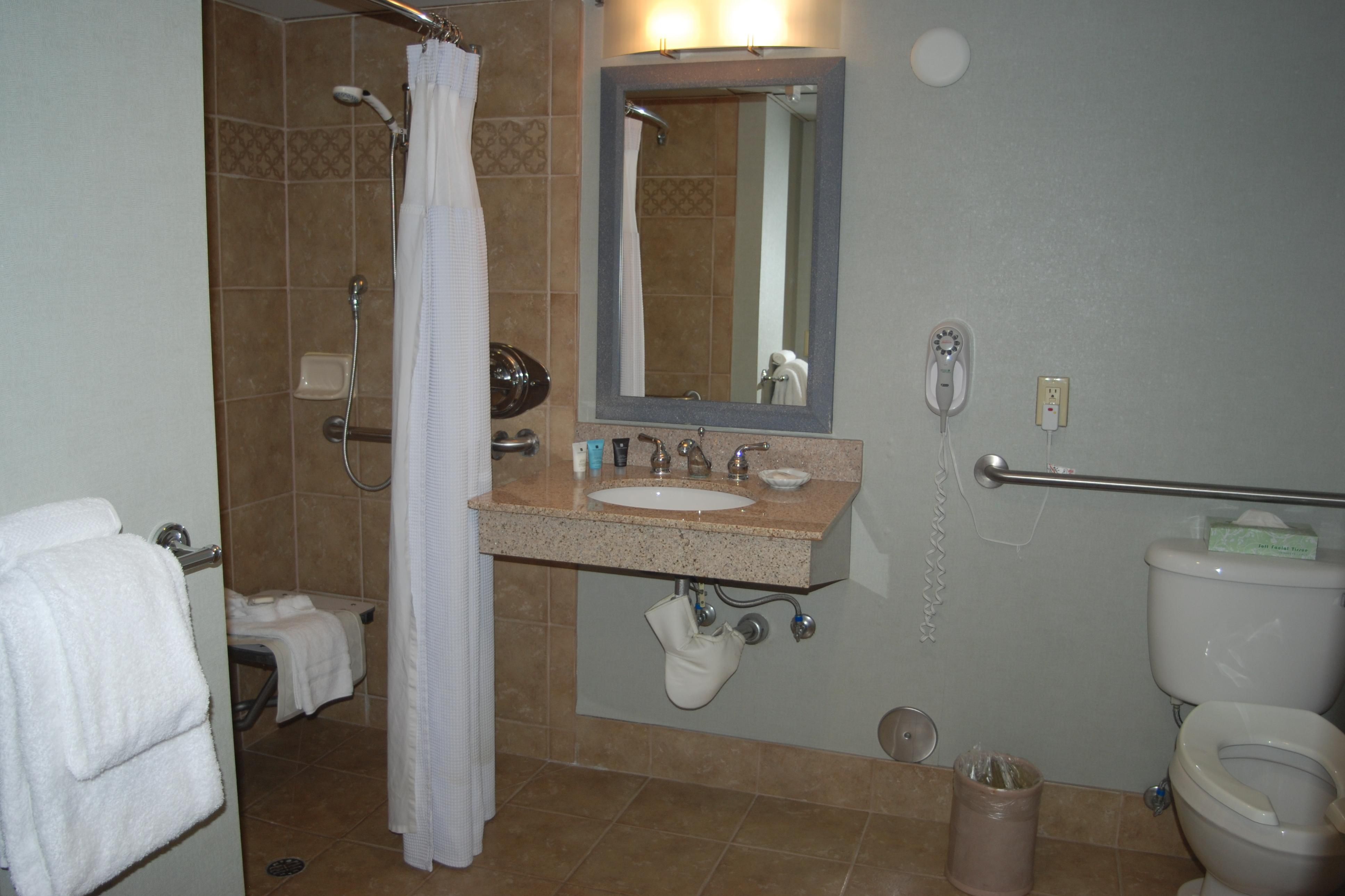 Bathroom in Double Bed Guest Room Handicap Accessible