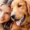 IHG Pet Friendly Hotels