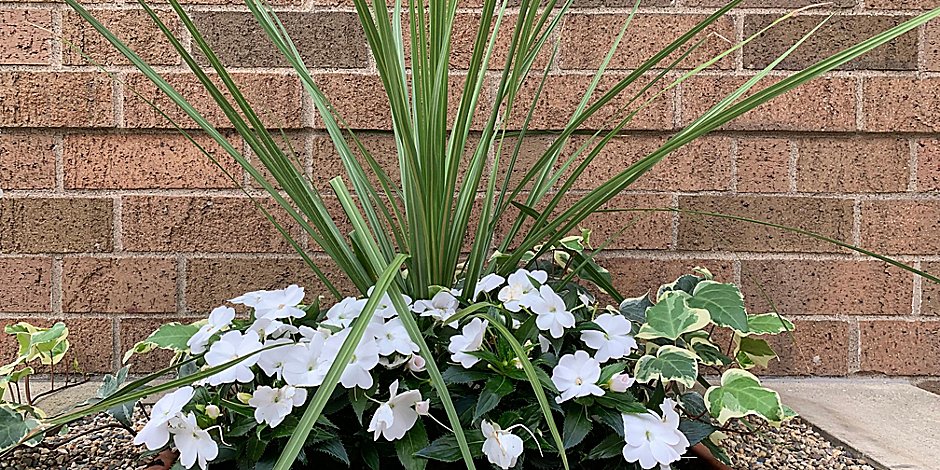 Convention Center Hotels Holiday Inn Express Suites