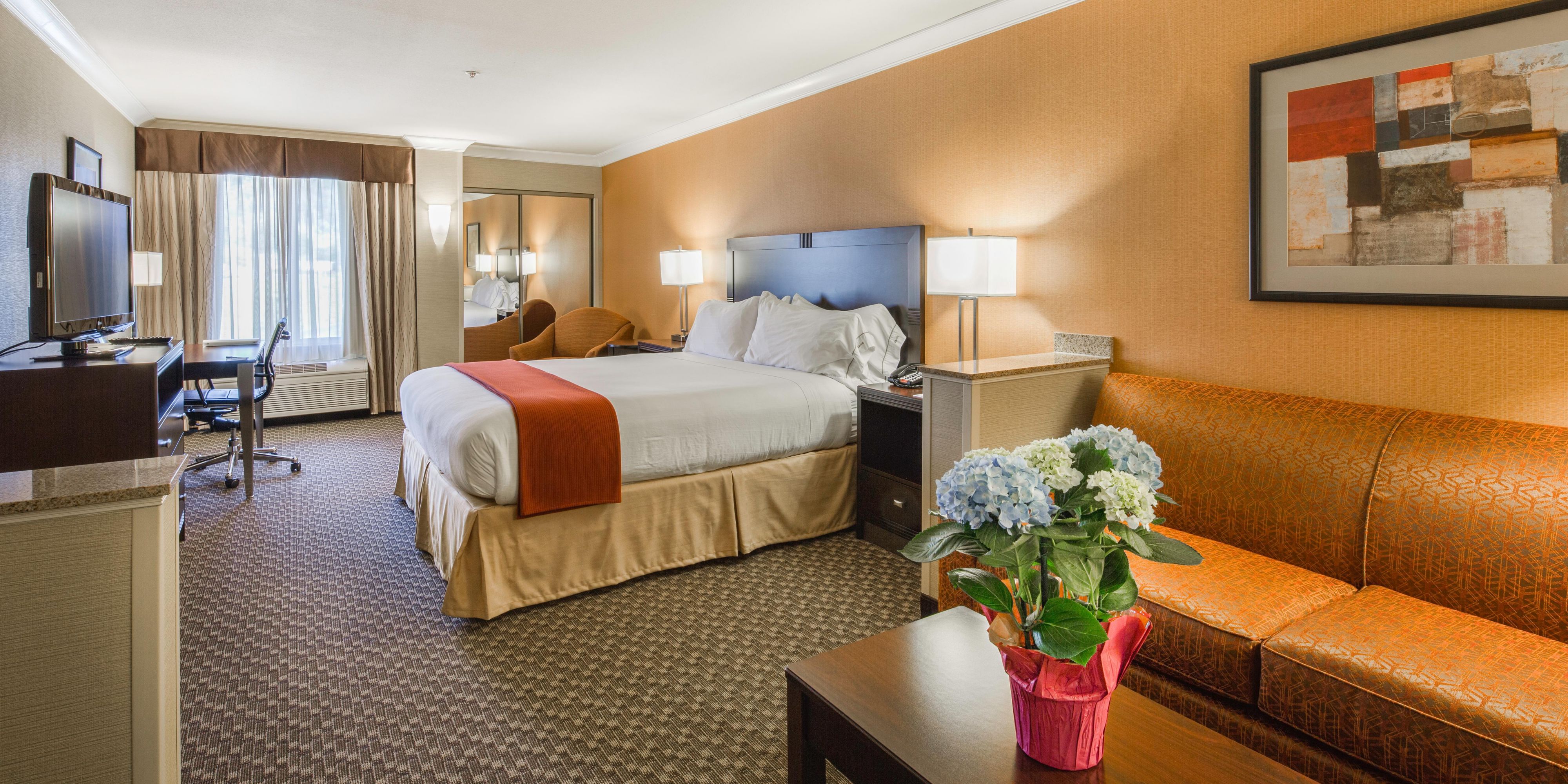 Castro Valley Hotels Near Oakland Airport Holiday Inn - 