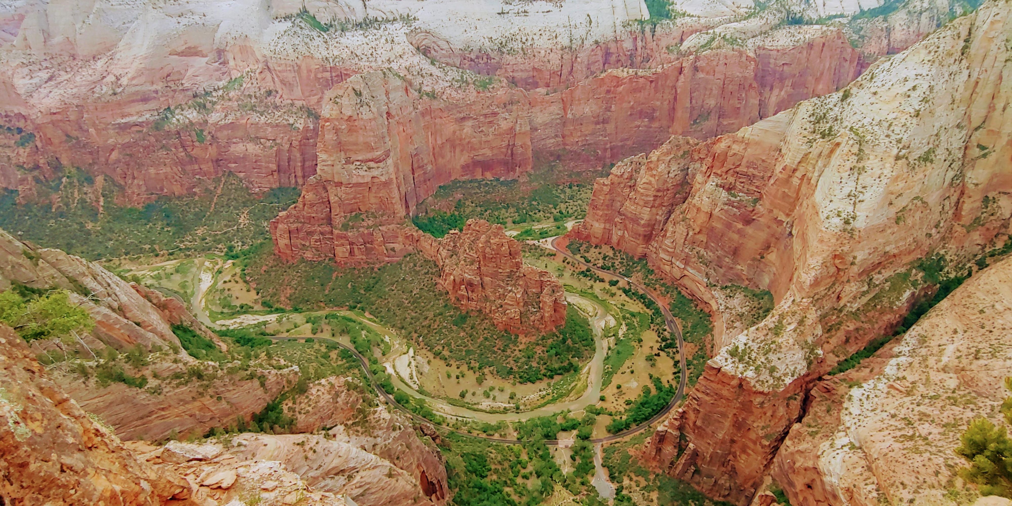 Zion National Park View