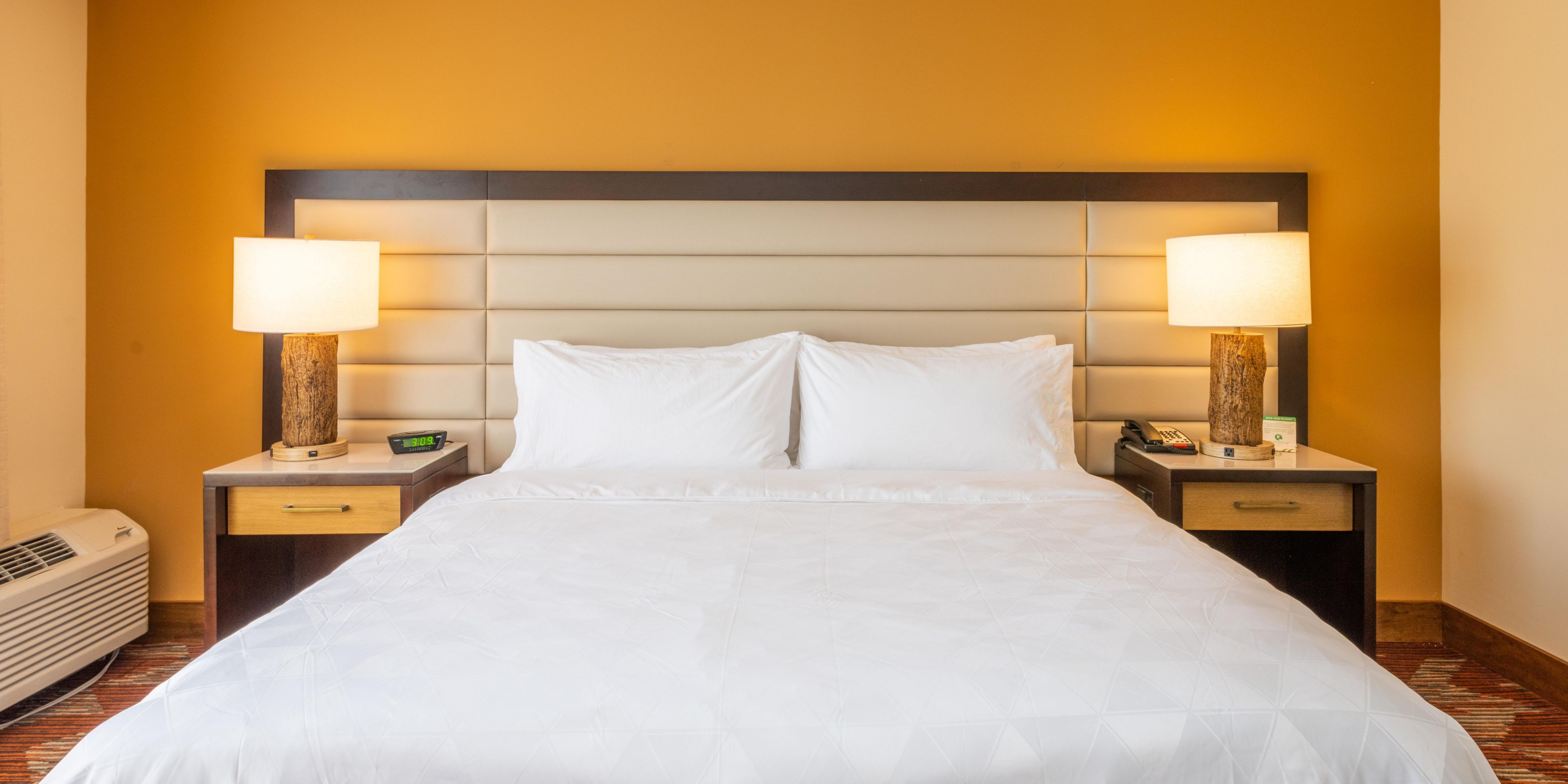 Pet Friendly Hotels Near Greensboro Airport Holiday Inn