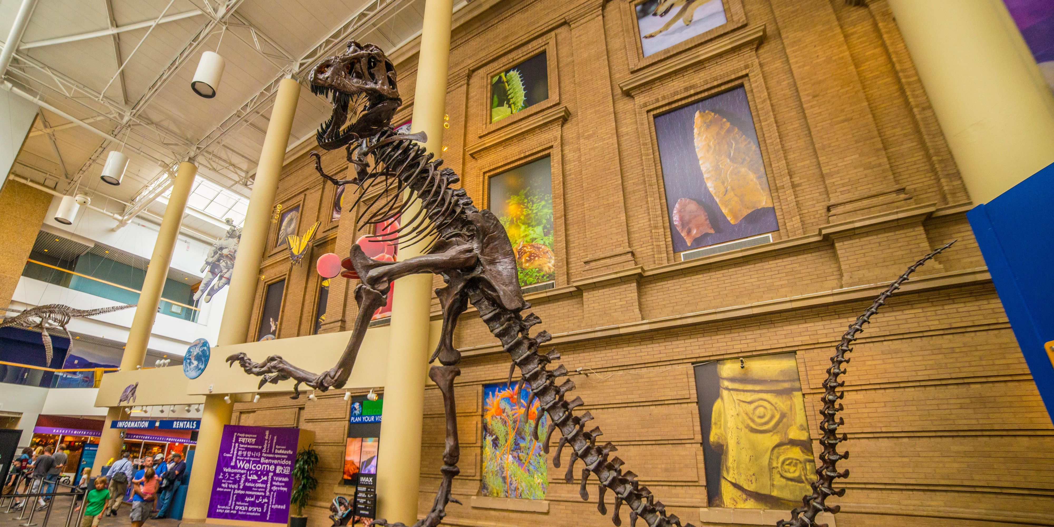 Hotels Near Cherry Creek Holiday Inn Suites Denver Tech Center