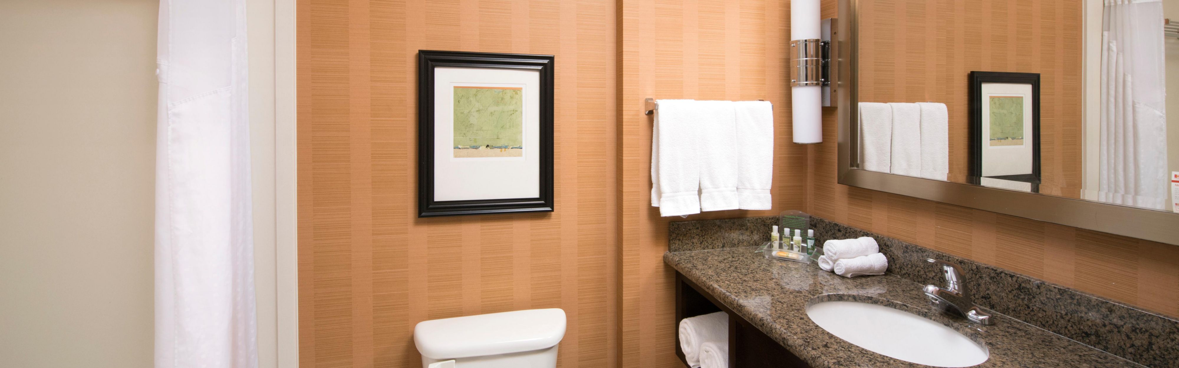 Holiday Inn Denver Hotels Holiday Inn Hotel Suites