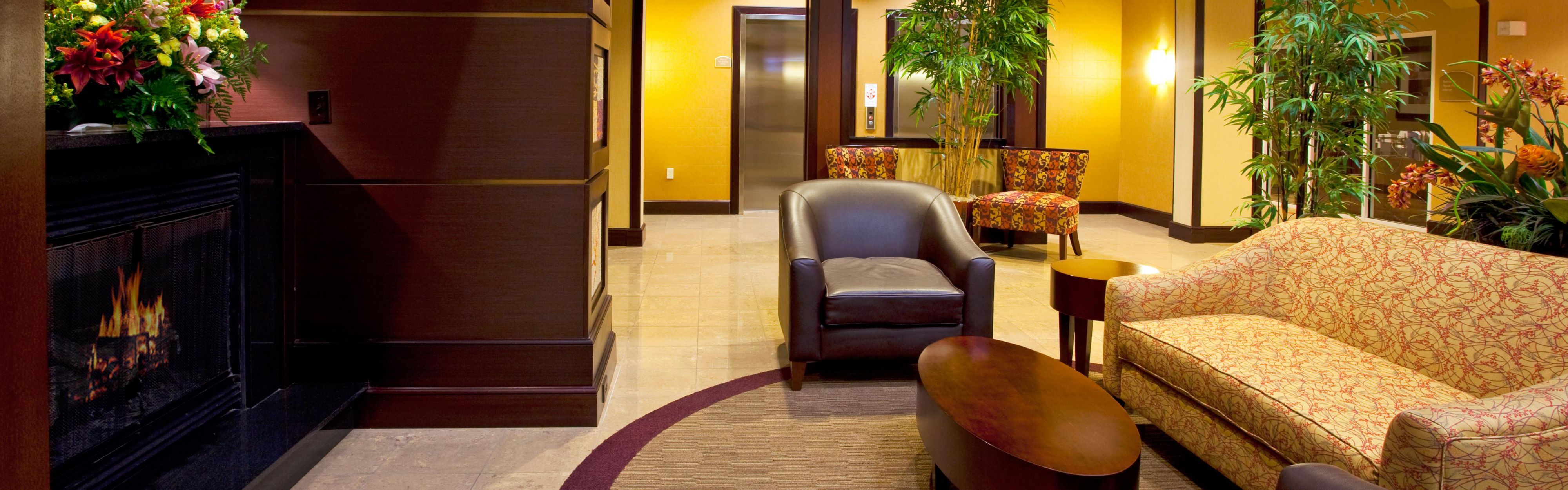 Orange park kennel club picks