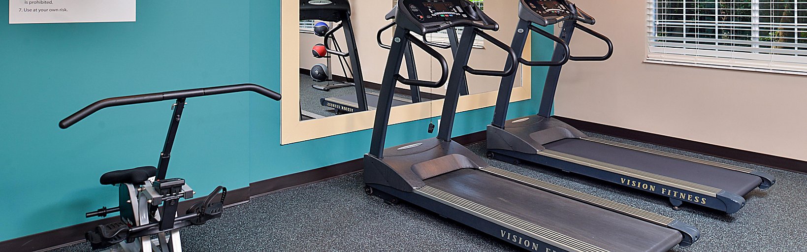 Holiday Inn Tampa Hotels Holiday Inn Hotel Suites Tampa N