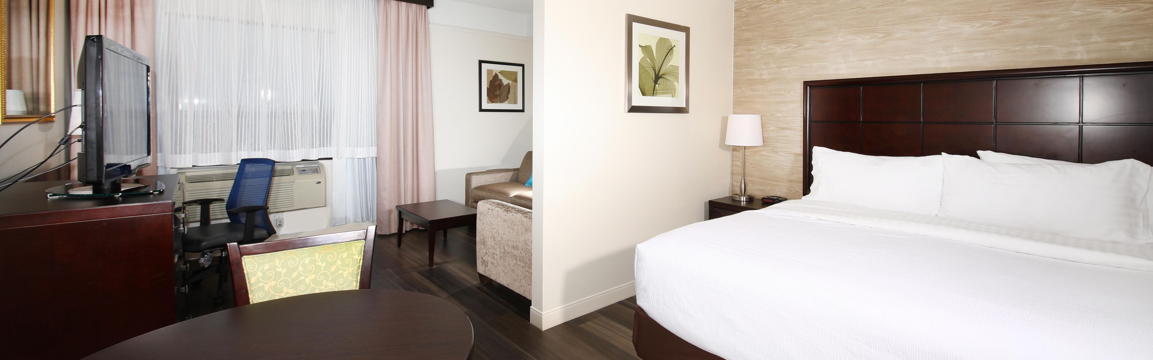 Holiday Inn Hotel Suites Windsor Ambassador Bridge Room