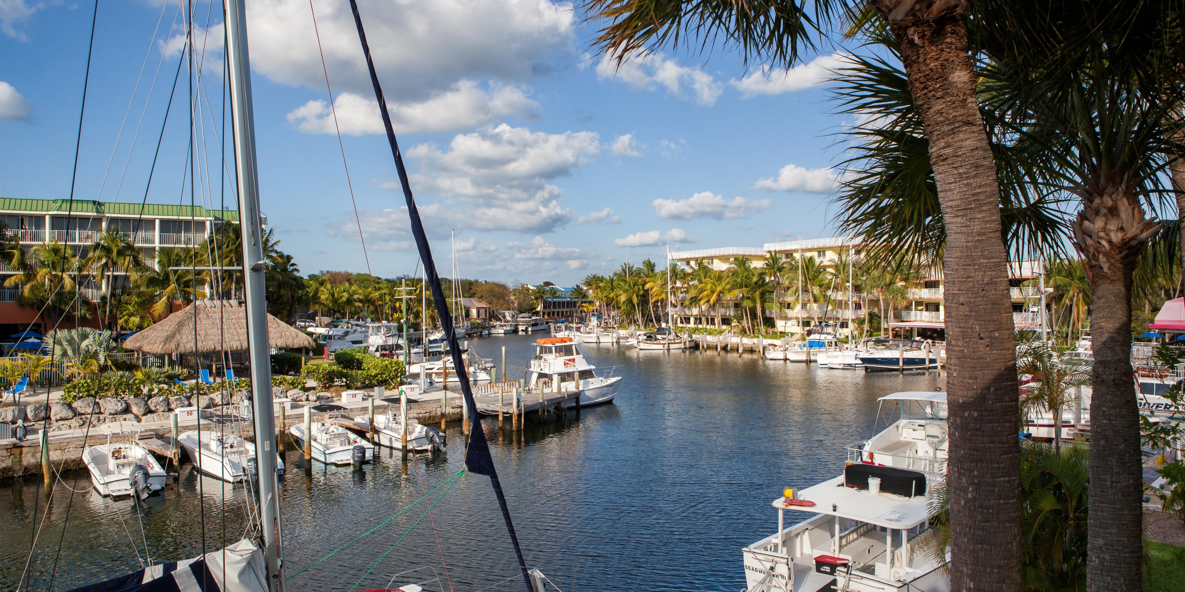 Key Largo Florida Hotels Holiday Inn Key Largo
