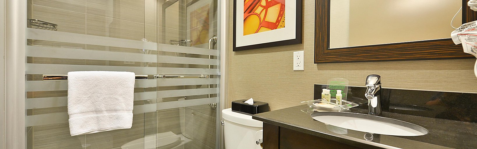 Holiday Inn New York Hotels Holiday Inn Nyc Lower East