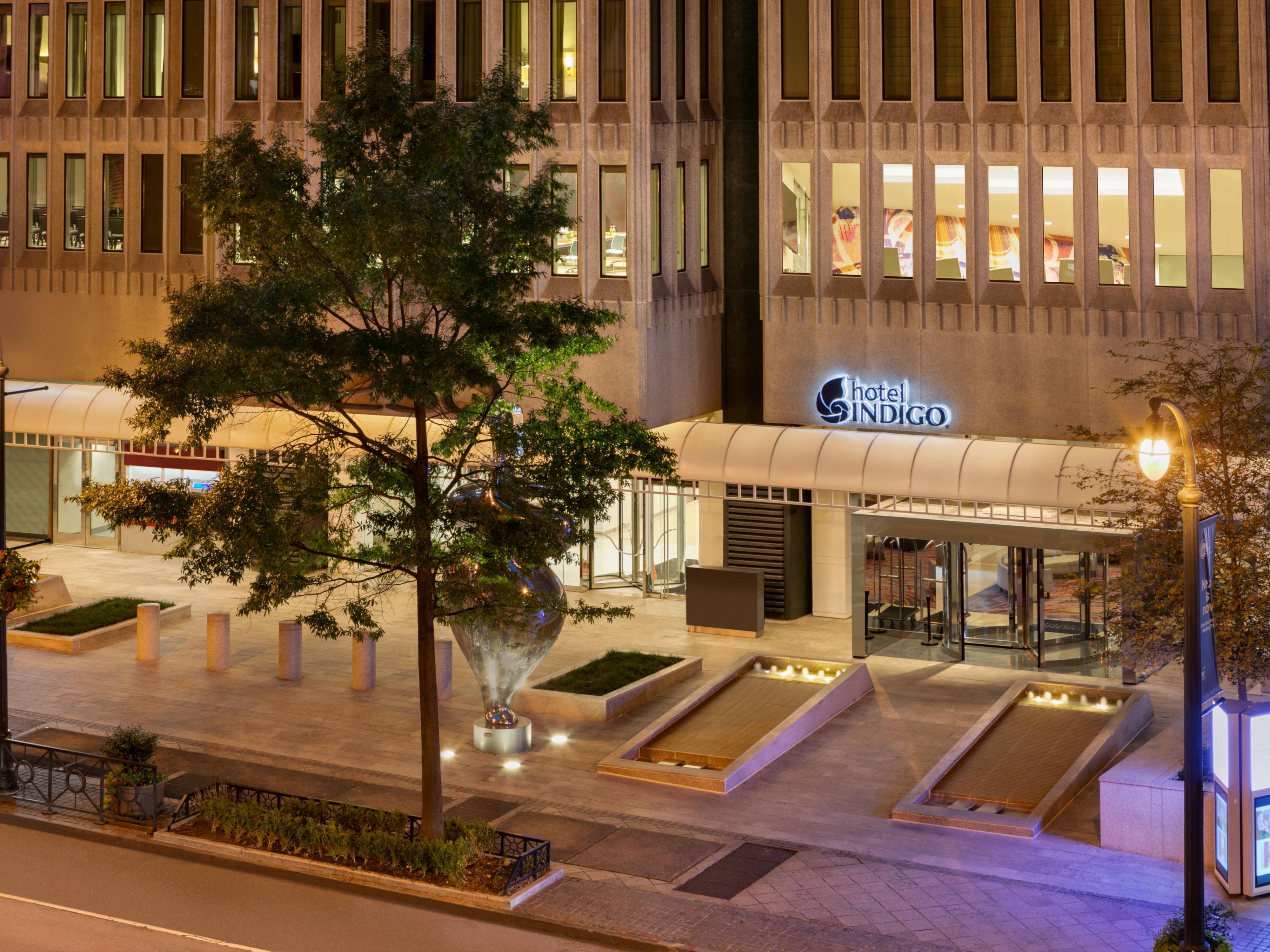 Pet Friendly Hotels Downtown Atlanta Ga Hotel Indigo