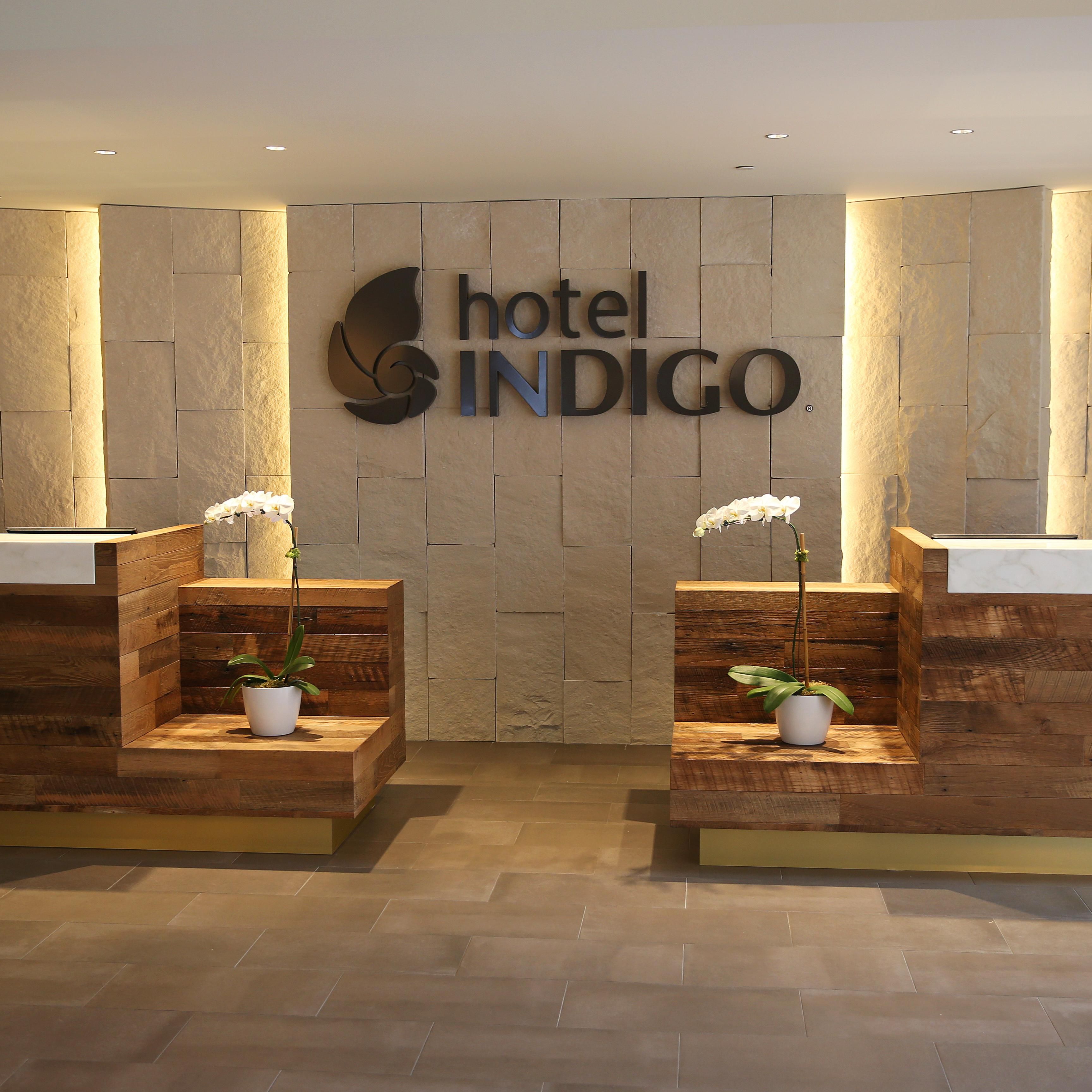 Dog Friendly Hotels In Naperville Il Hotel Indigo Naperville