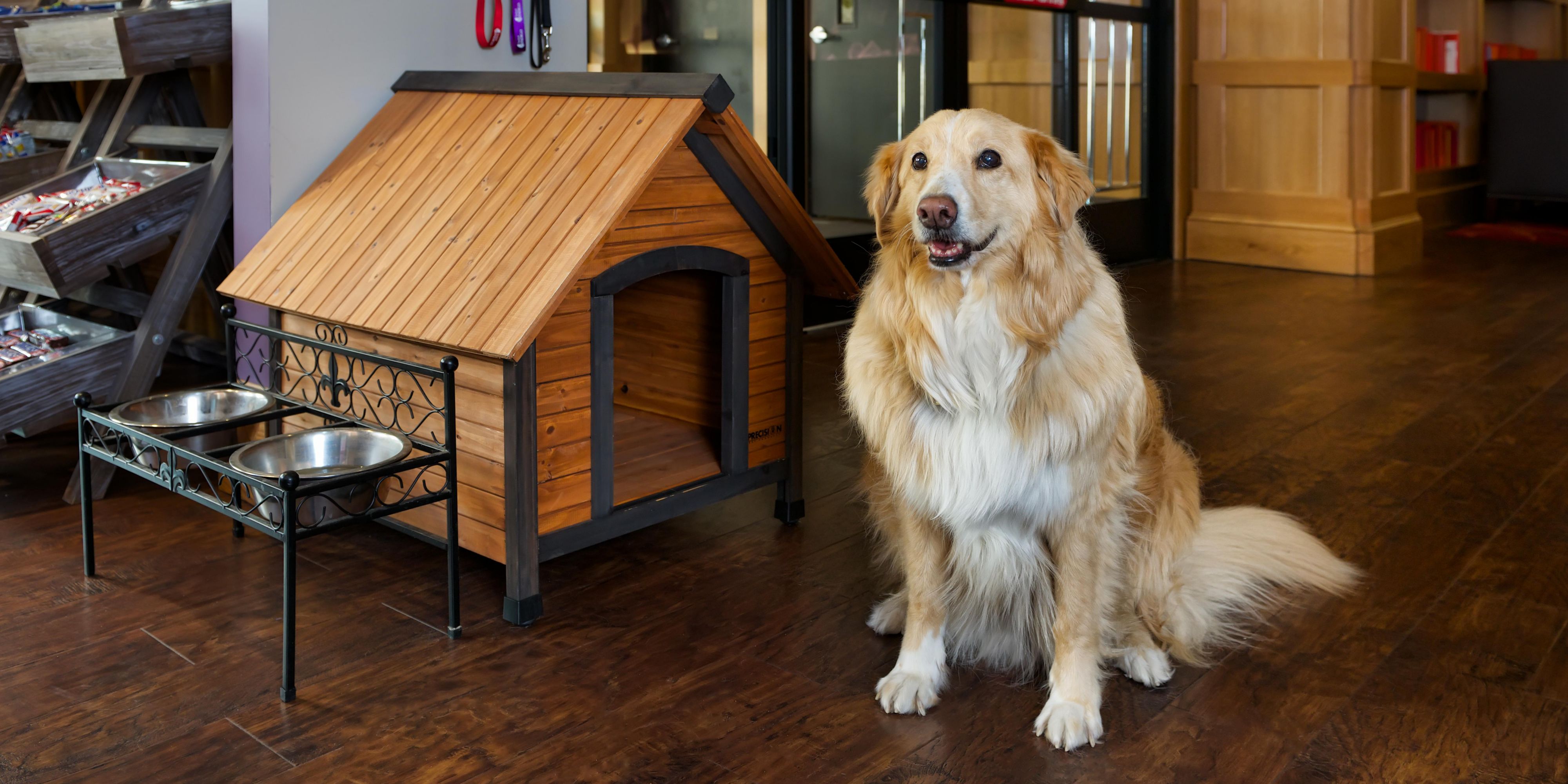 Скачать книгу веселая школа для собак