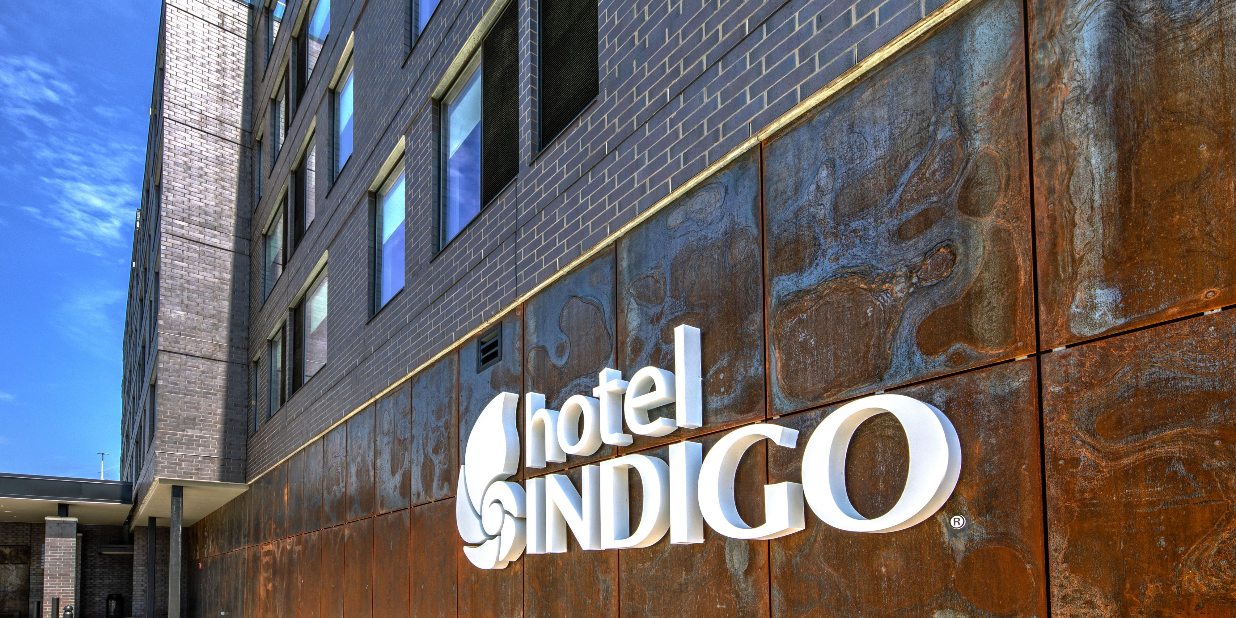 Pet Friendly Boutique Hotels In Pittsburgh Hotel Indigo