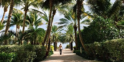 Palm tree lined pathway to beach in Miami