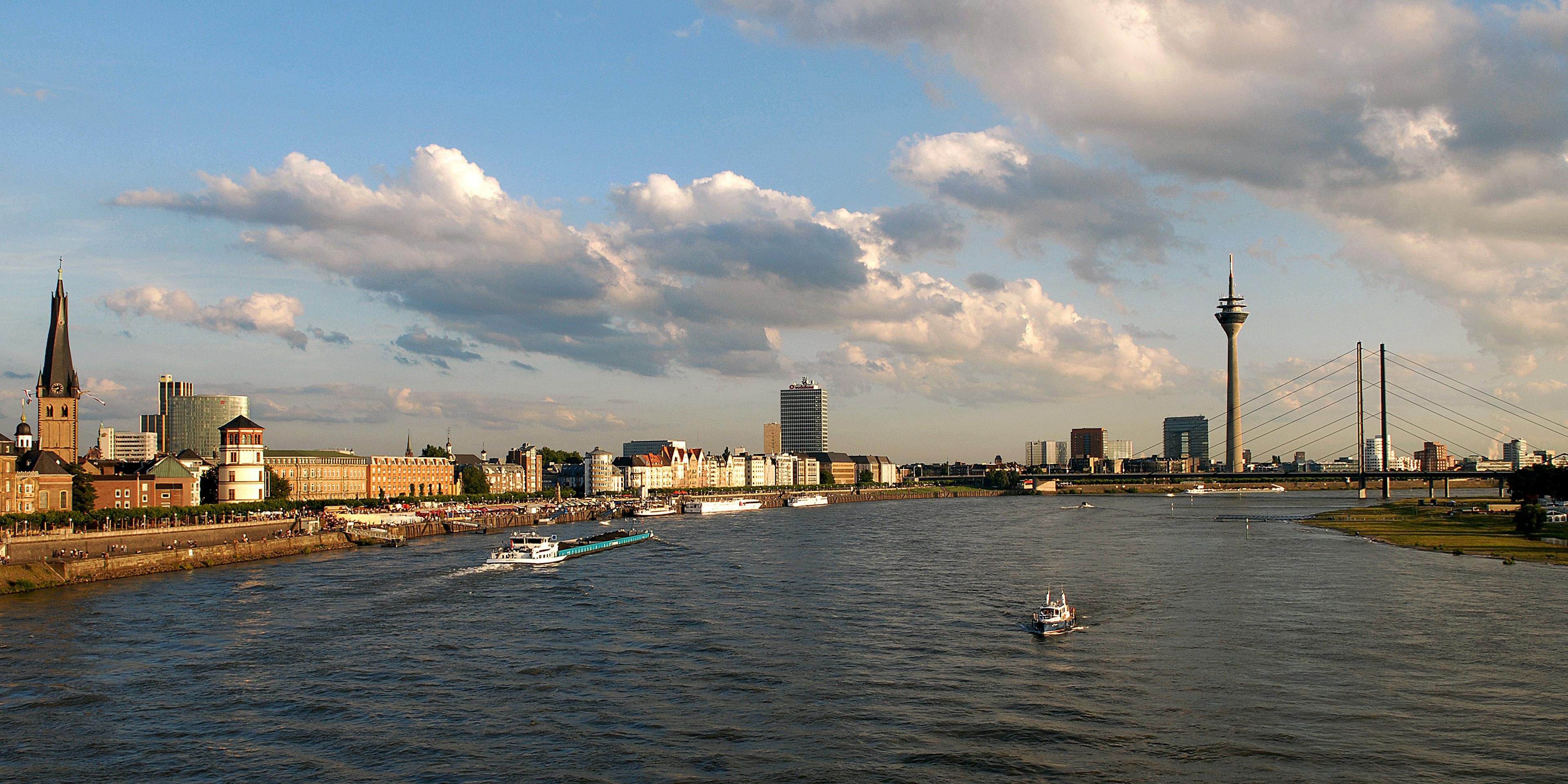 Gif animé merci avec chat