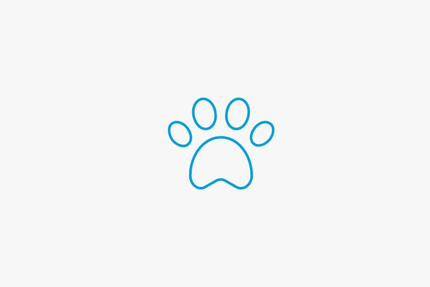 Paw icon