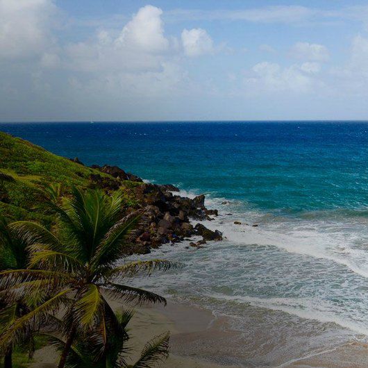splendido oceano verde e blu con piccole onde, sabbia bianca e palme